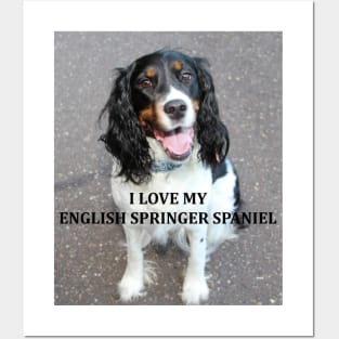 english springer spaniel black white tan love with picture Posters and Art